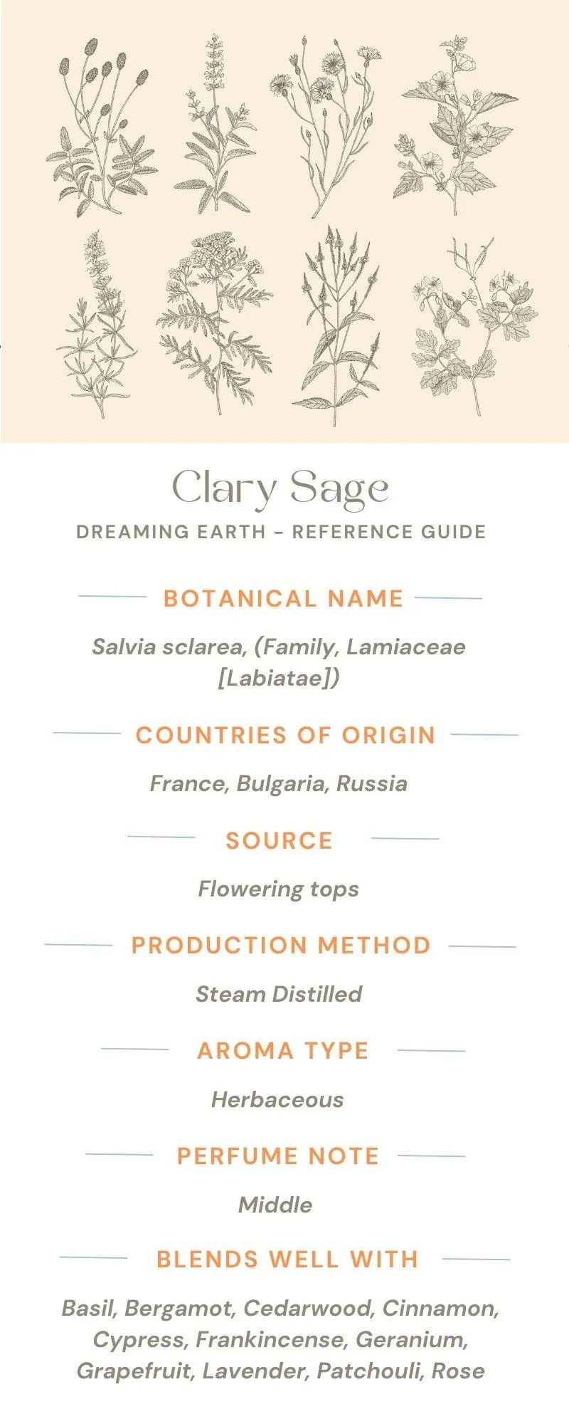 Clary Sage Organic Essential Oil