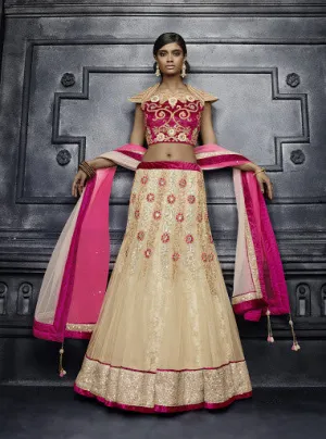 Light Beige Color Net Lehenga Choli