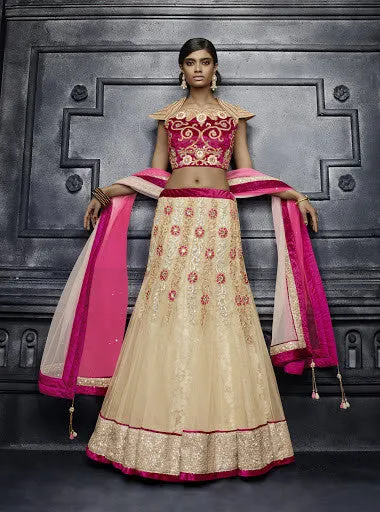 Light Beige Color Net Lehenga Choli
