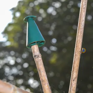 Multi Purpose Cane Caps