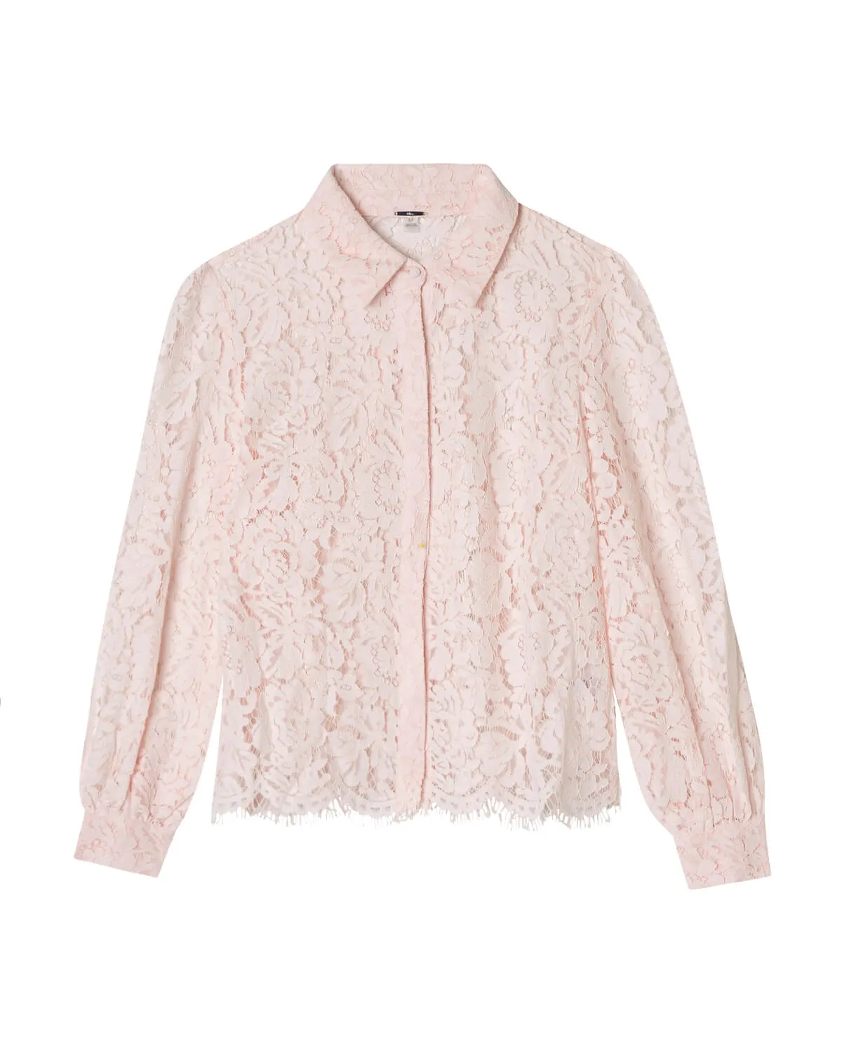 Scalloped Edge Lace Blouse